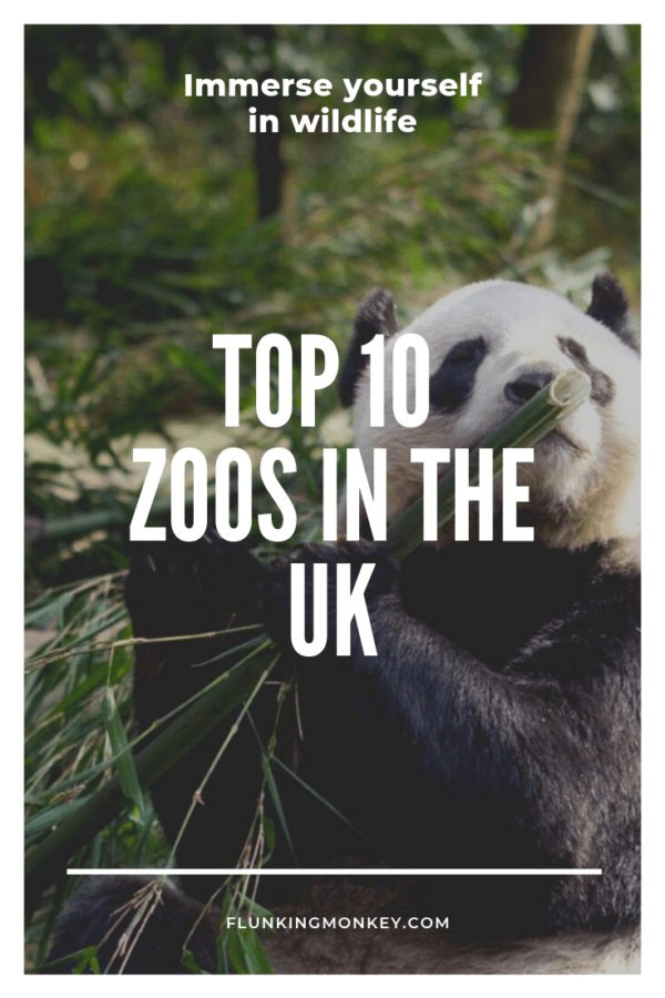 Best Zoos In The UK Pros and Cons Flunking Monkey