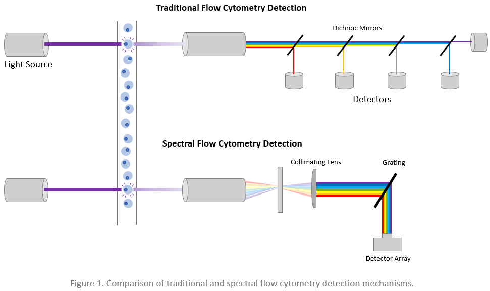 Newsletter Dyes for Spectral Analyzers FluoroFinder