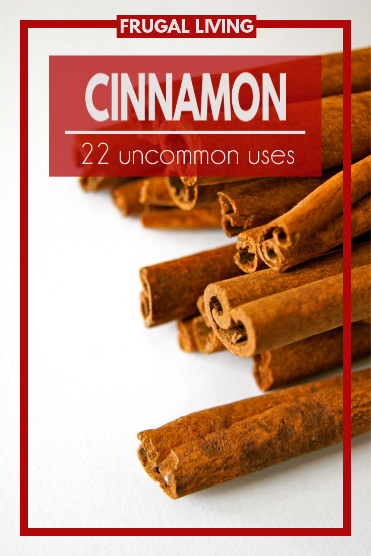 22 Uses for Cinnamon Fluster Buster