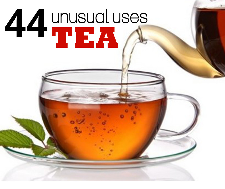 44 Unusual Tips Using Tea Fluster Buster