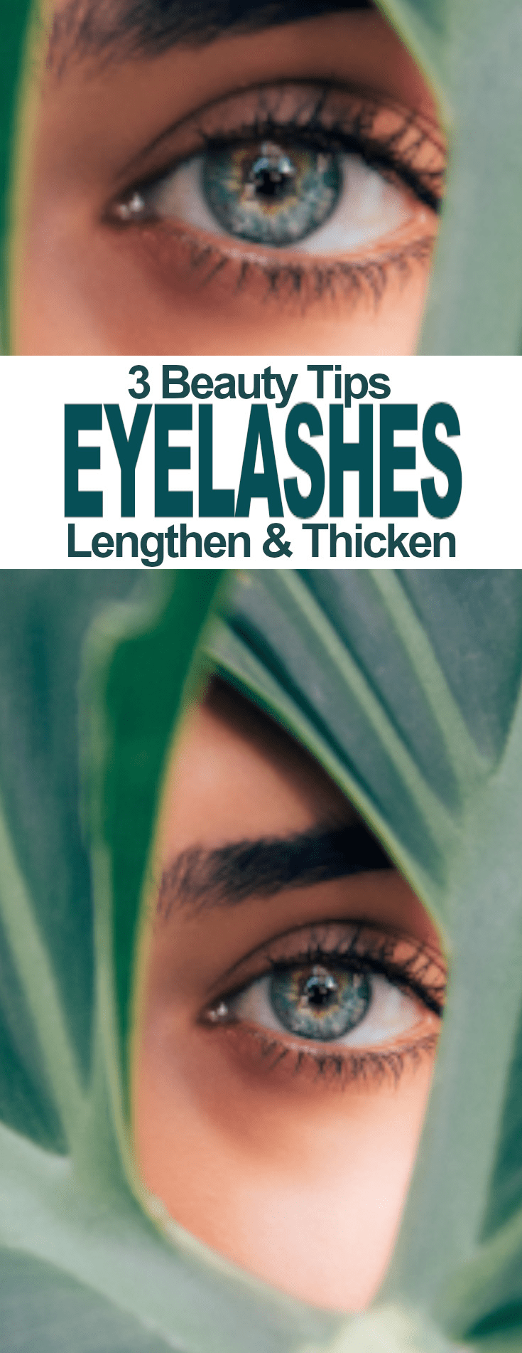 3 Beauty Tips to Lengthen & Thicken Your Eyelashes Fluster Buster