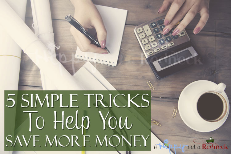 5 Simple Tricks to Help You Save More Money Fluster Buster