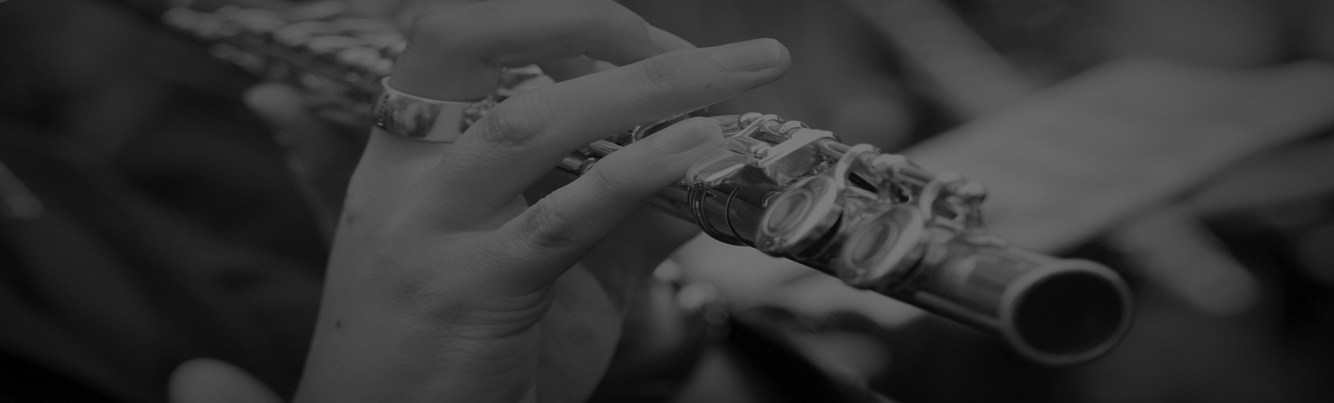 Lessons Flute Lessons in Perth