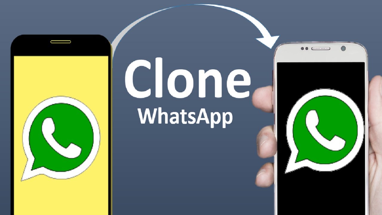 How to Build WhatsApp Clone in Flutter Free Source Code