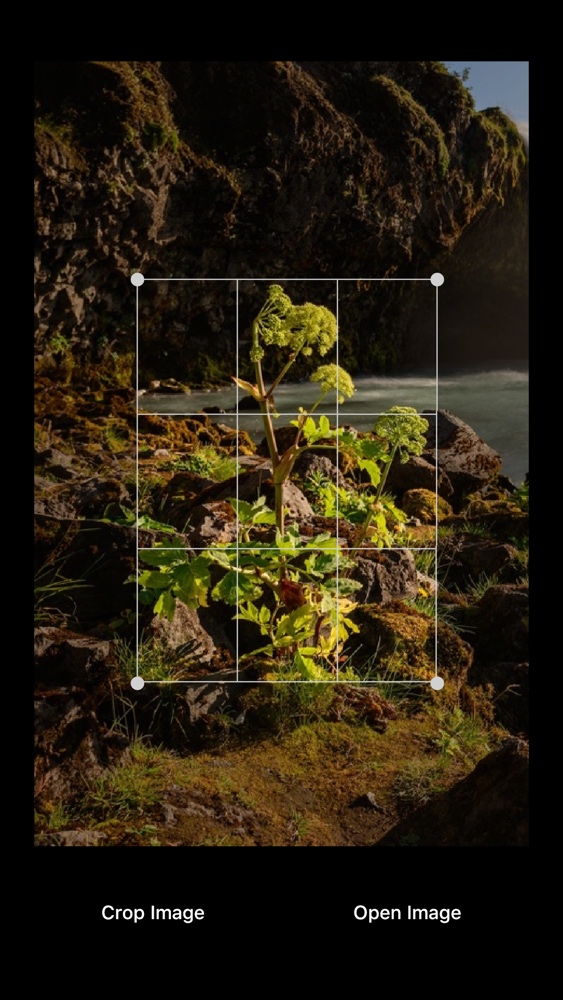A flutter plugin to crop image on iOS and Android