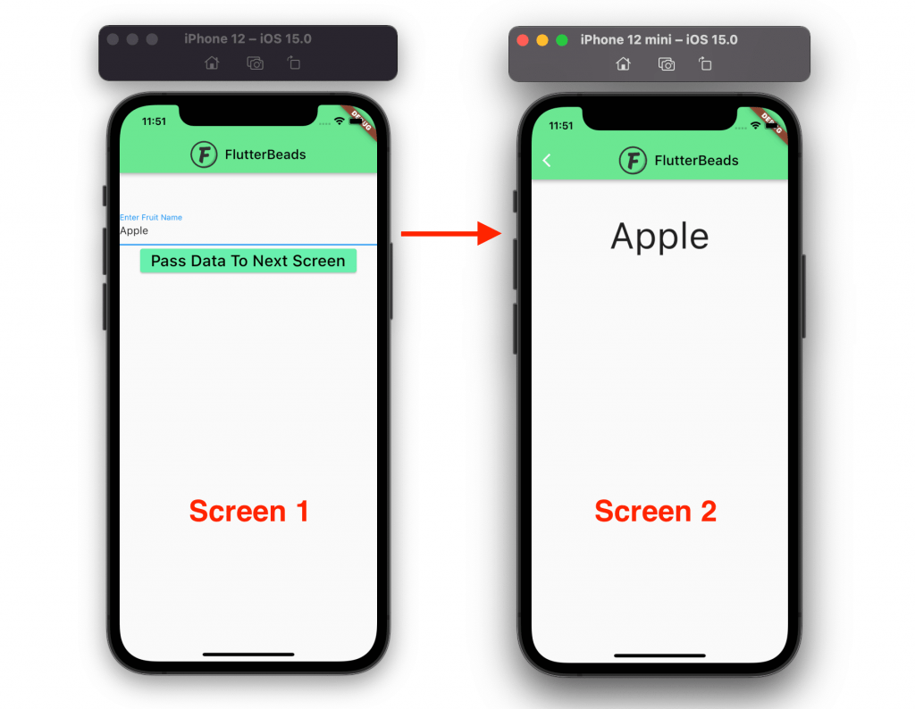 Flutter Pass Parameter to StatefulWidget 3 Easy Steps [July 2024] FlutterBeads