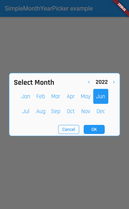 Xamarin Forms Month And Year Picker By Bohdan
