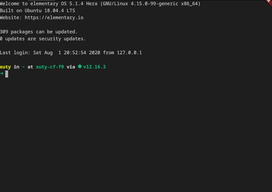xterm Flutter package in Command Line (CLI) or Console category