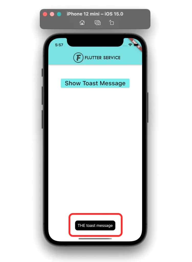 How To Show Flutter Toast Message 2 Easy Ways in 2023