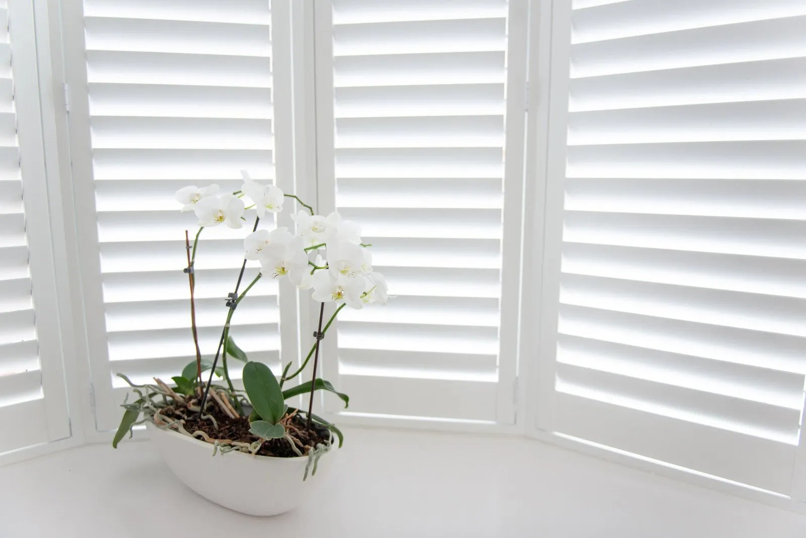 EcoFriendly Blinds Flutter Shutter Learn more