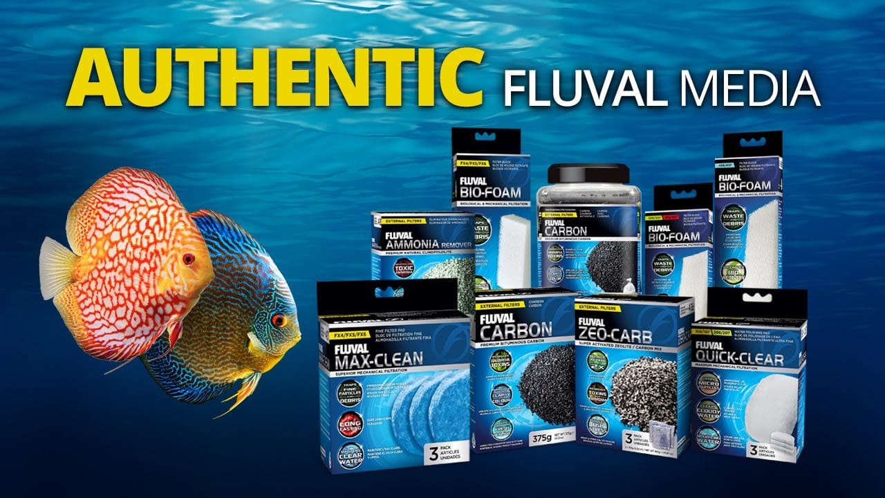 Authentic Fluval Filter Media Fluval USA