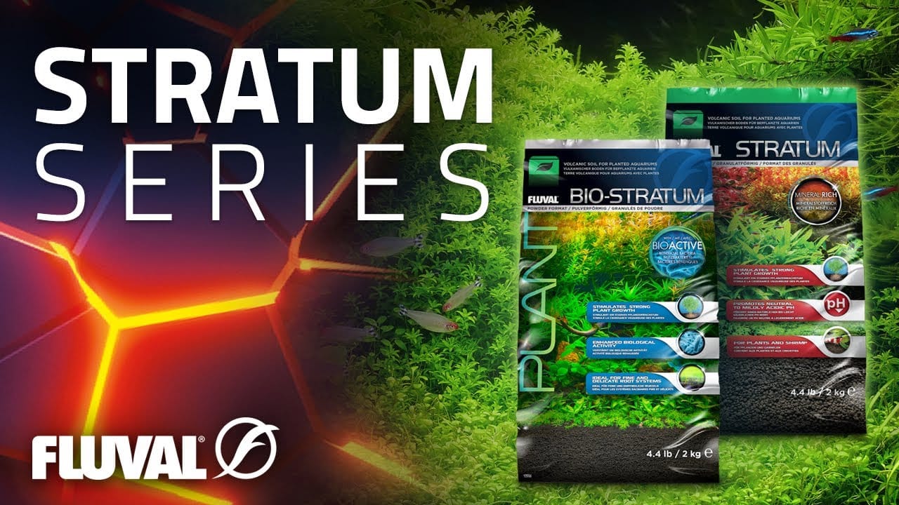 FLUVAL STRATUM SERIES Volcanic Soil for Explosive Plant Growth