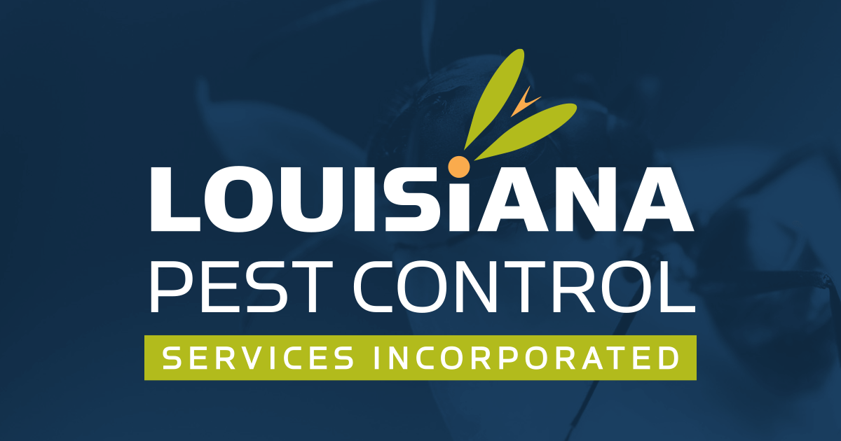 Pest Control Services Termites LA Pest Control