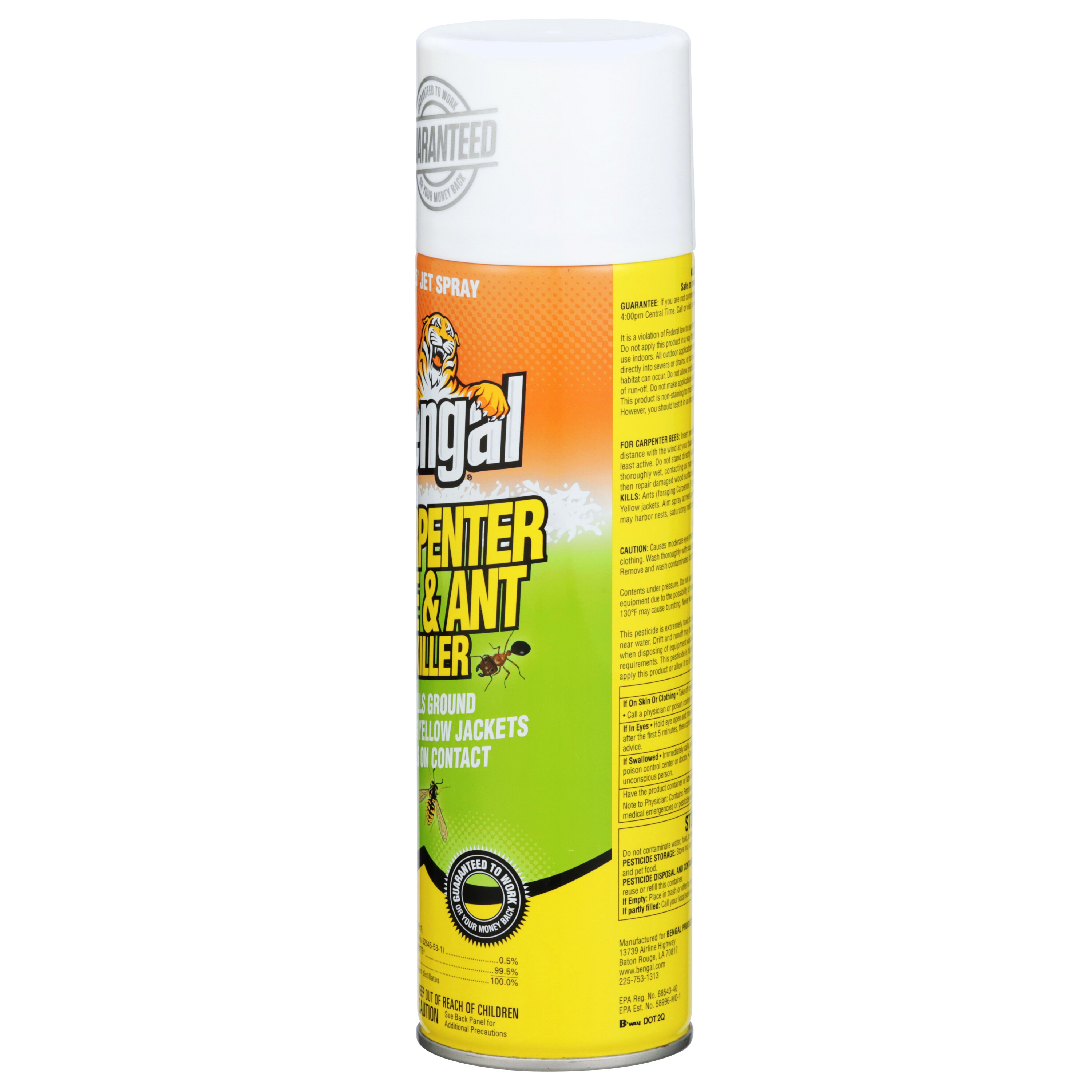Carpenter Bee & Ant Killer Instant Knockdown & BugFree Environment