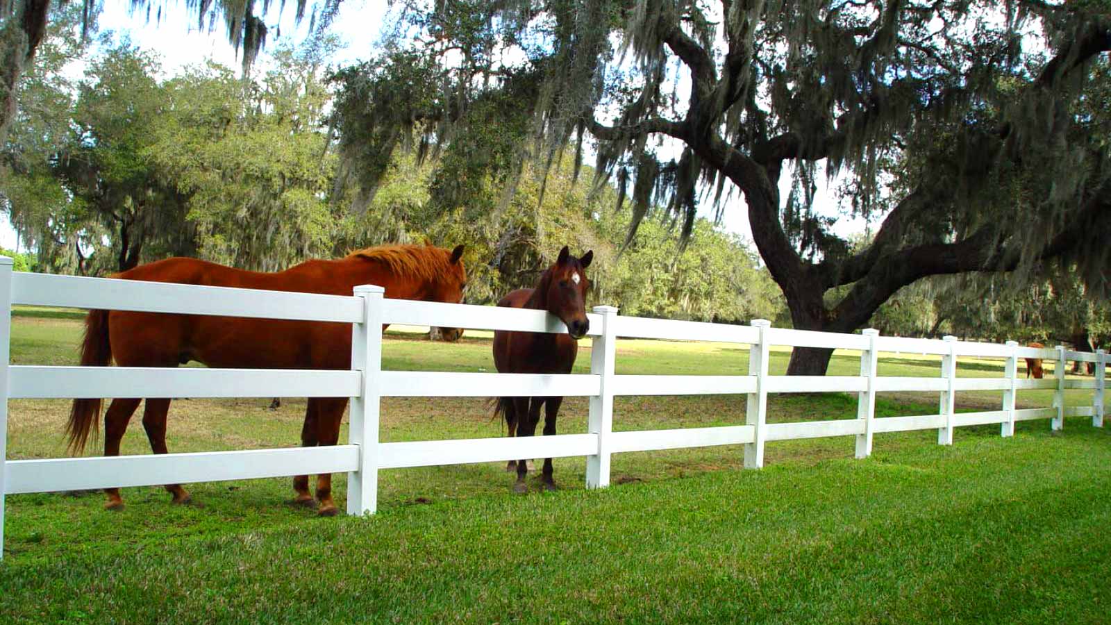 About Country Estate Fence of The South Vinyl & Aluminum Fencing