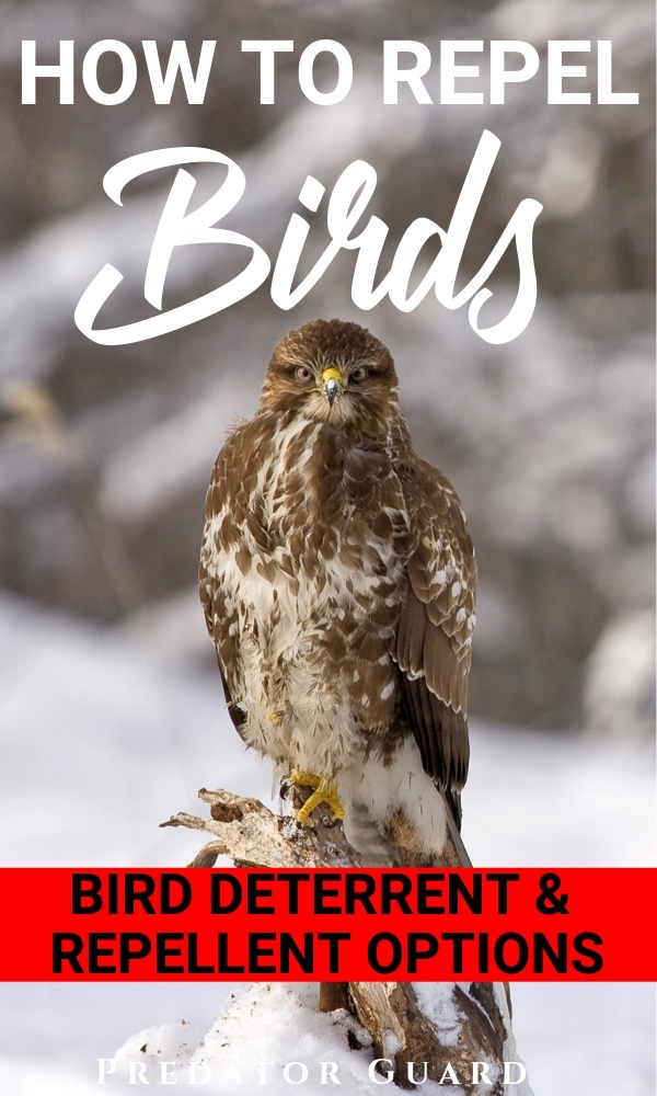 Bird Repellent Reflective, Deterrent Scare Owl Eyes Double Side With