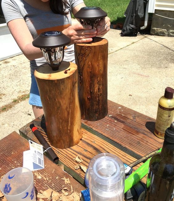 20 Cool Tree Stump and Log DIY Projects