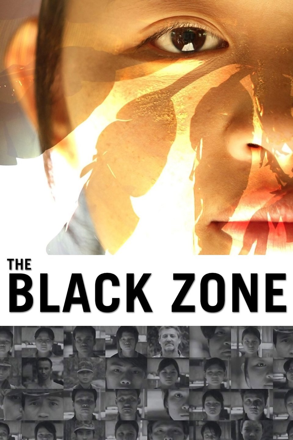 The Black Zone Pictures Rotten Tomatoes