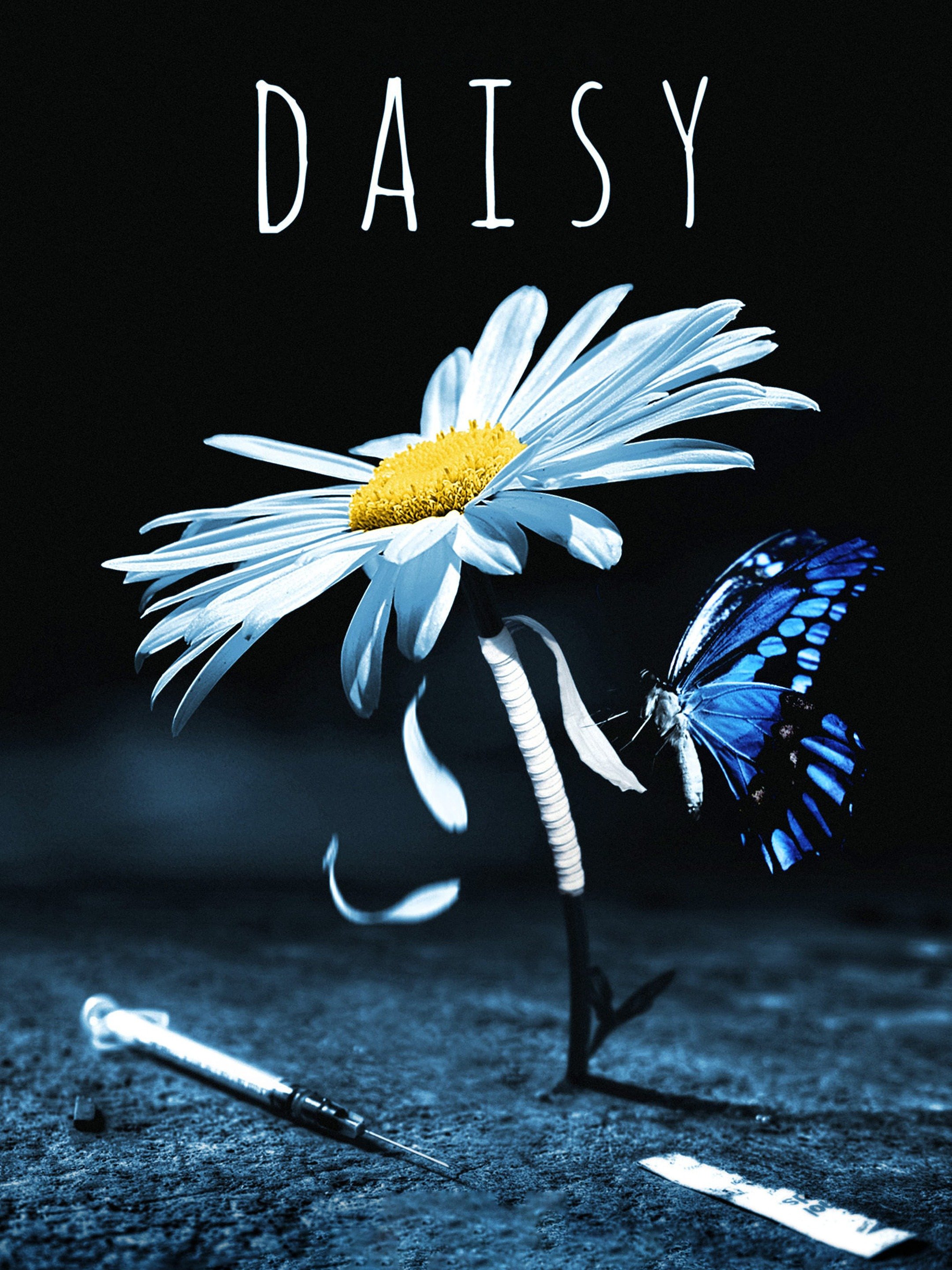 Daisy (2016) Rotten Tomatoes