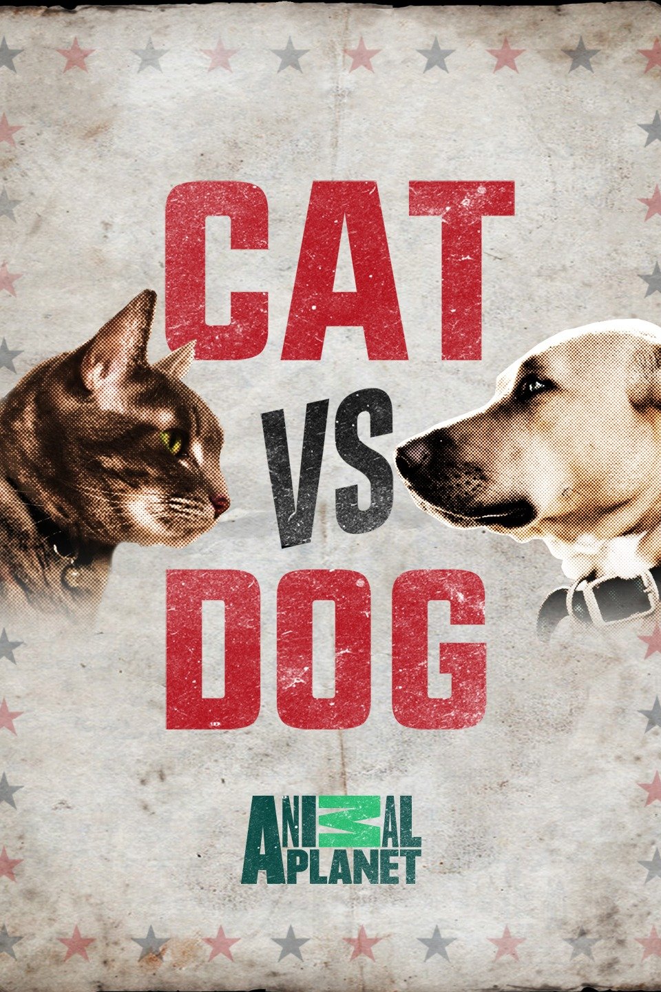 Cat vs. Dog Rotten Tomatoes