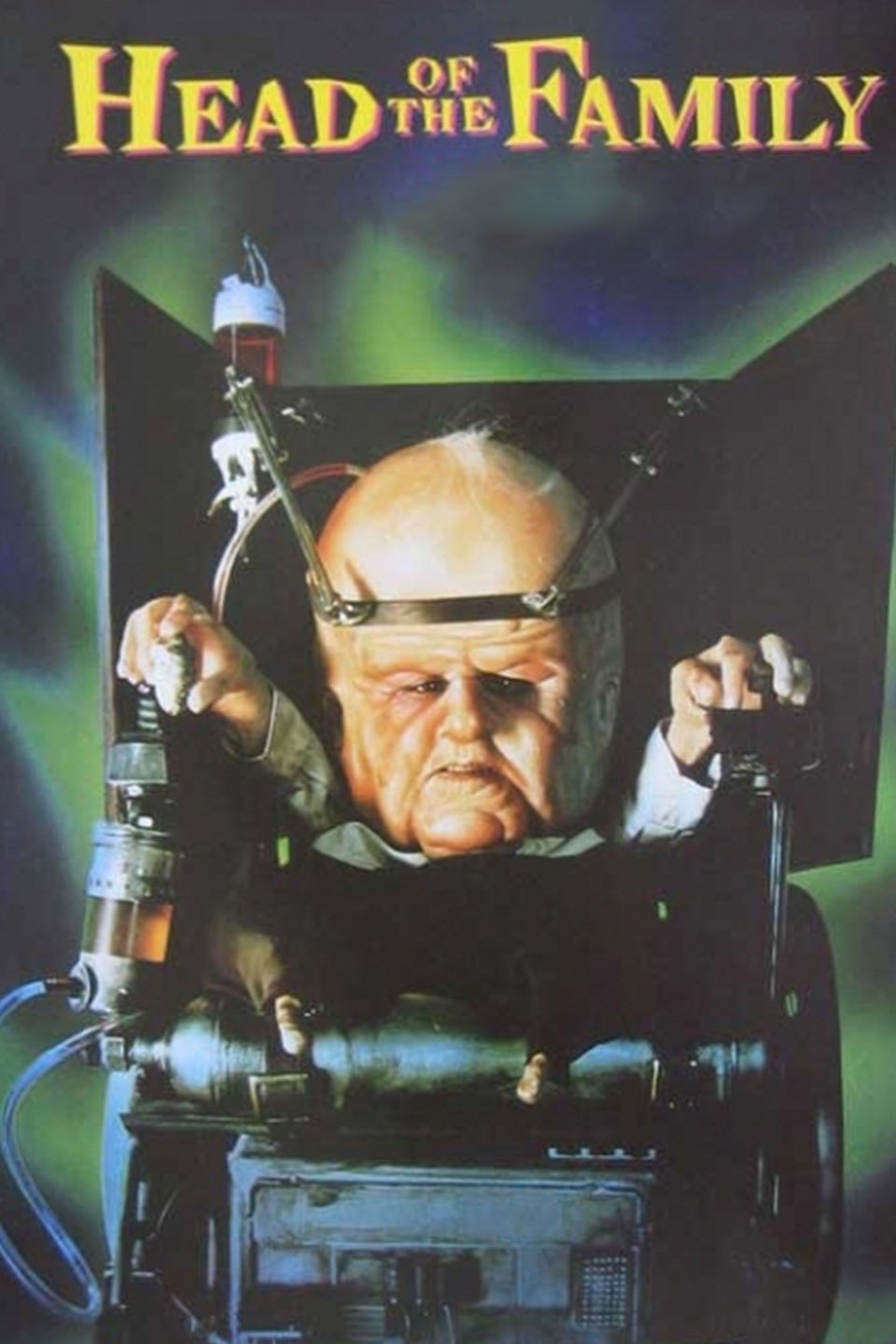 Head of the Family Pictures Rotten Tomatoes