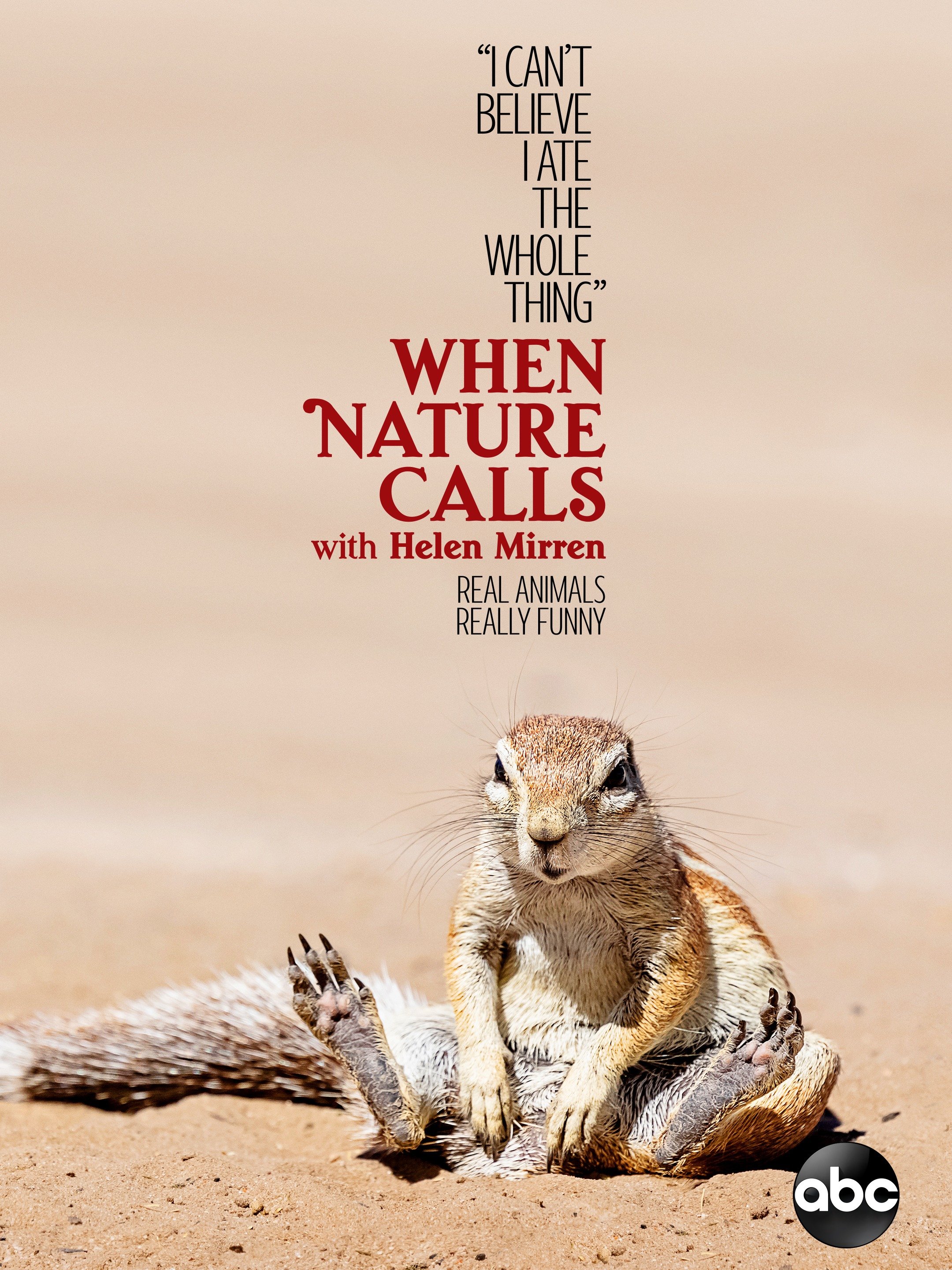 Dead Squirrel In Pool Meme