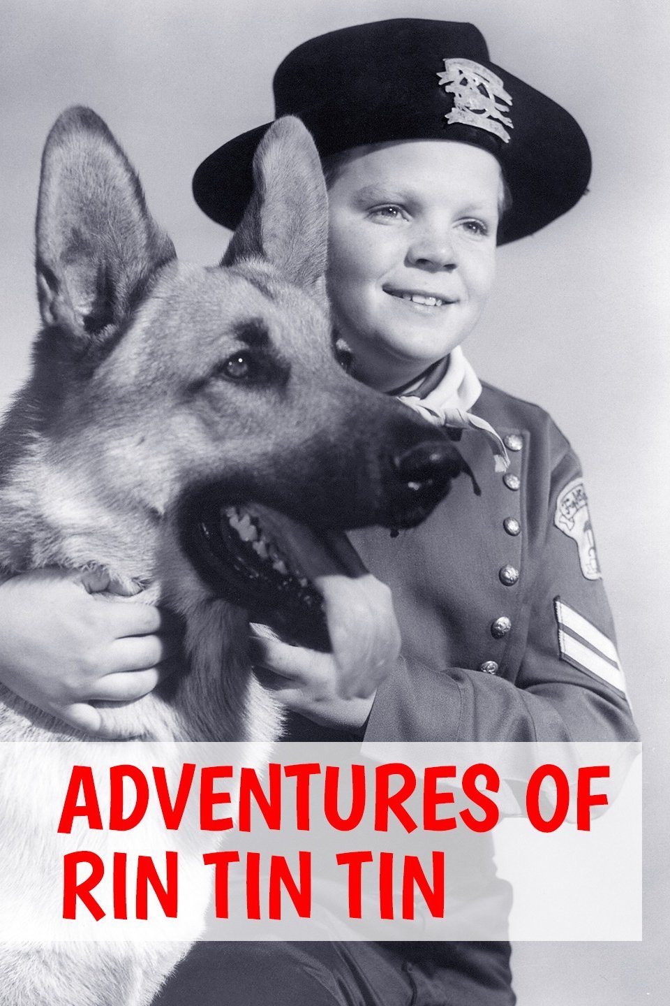 Rin Tin Tin and the Return of the Chief Pictures Rotten Tomatoes
