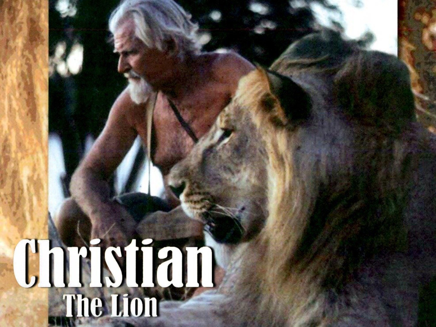 Christian the Lion (1971) Rotten Tomatoes
