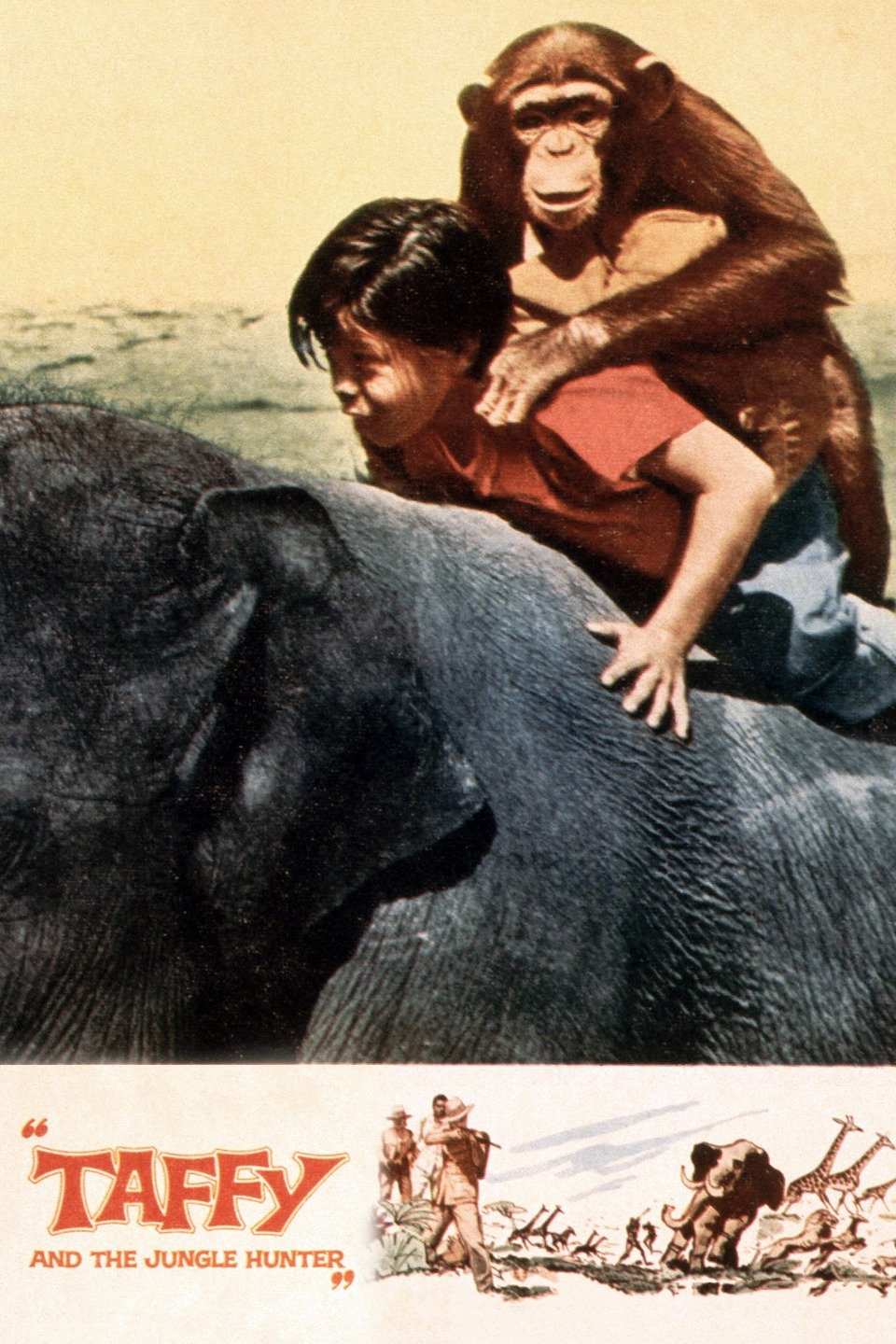 Taffy and the Jungle Hunter Pictures Rotten Tomatoes