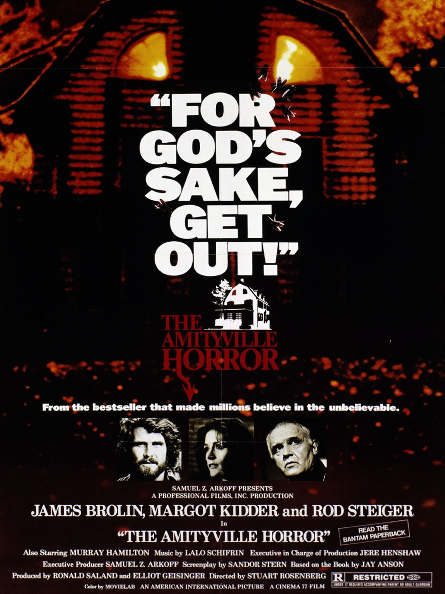 Amityville Horror Book Review Dvd Review The Amityville Horror