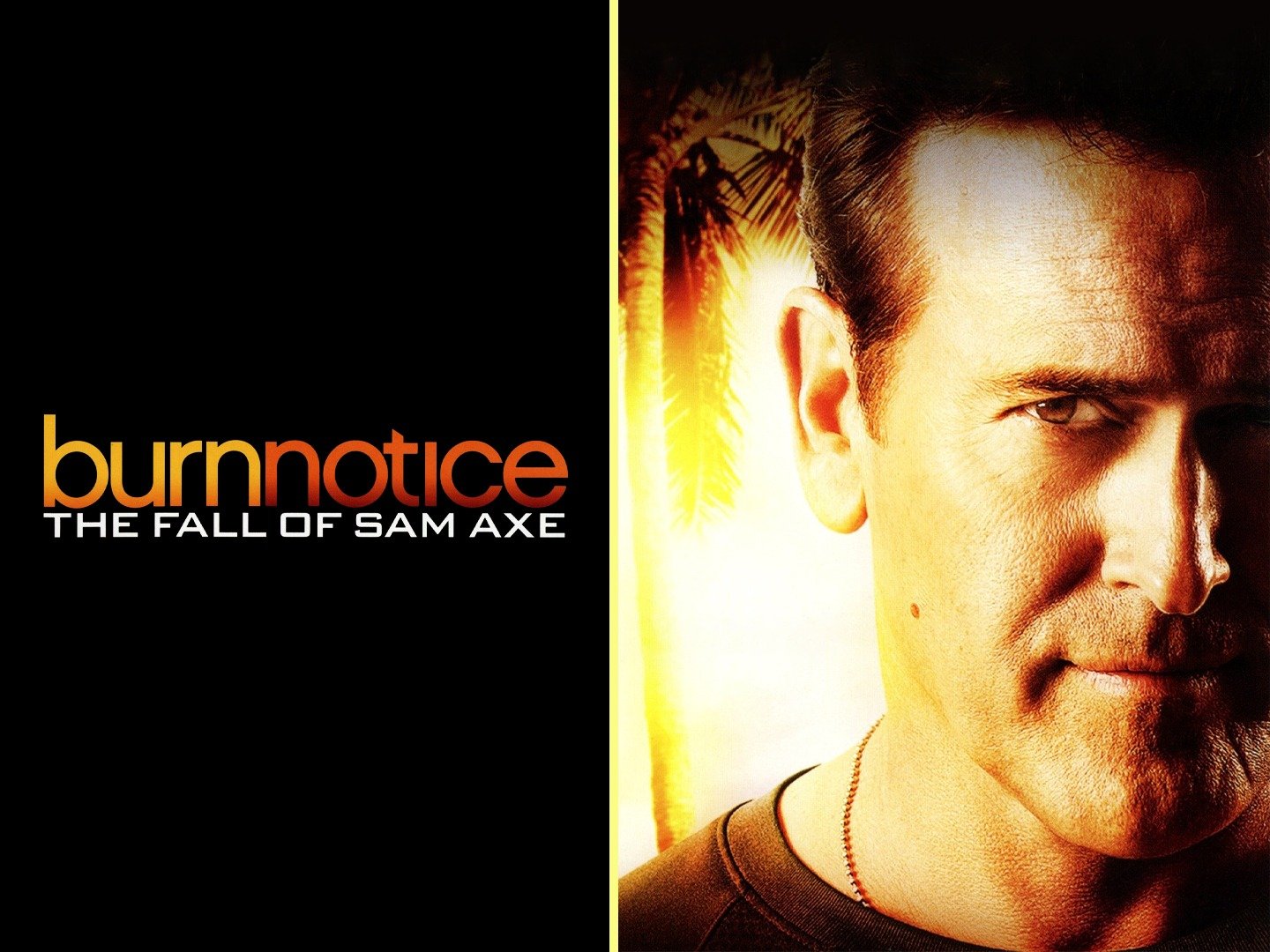 Burn Notice The Fall of Sam Axe Movie Reviews