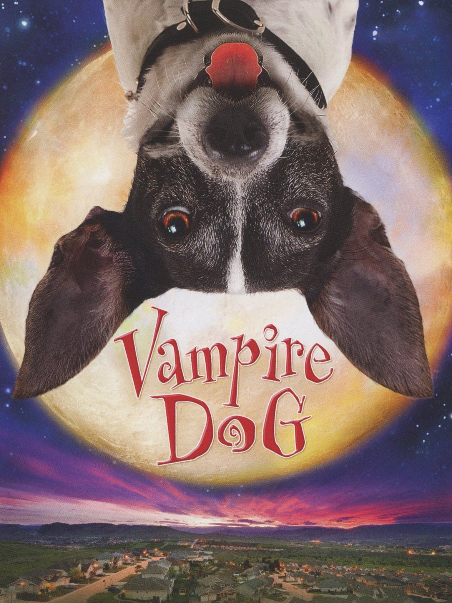 Vampire Dog (2012) Rotten Tomatoes