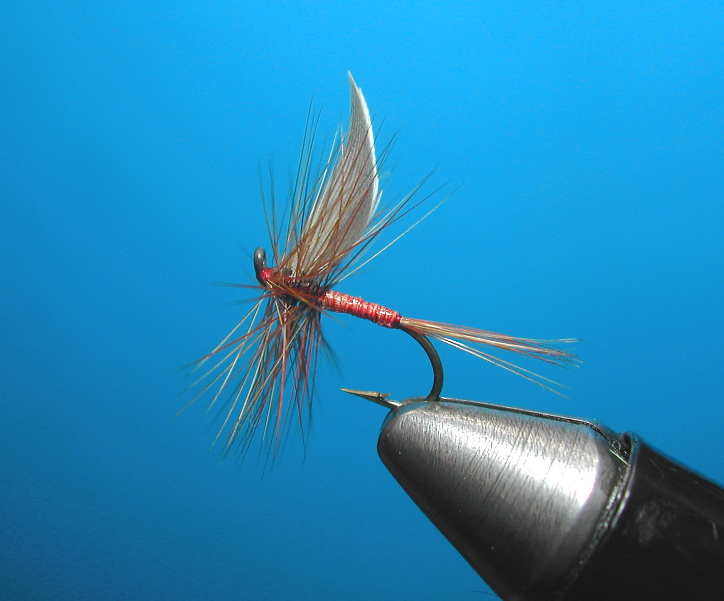 Red Quill Stara Planina