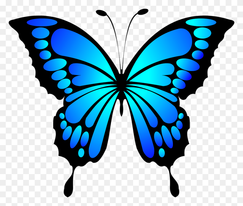 Butterfly Wings Clipart FlyClipart