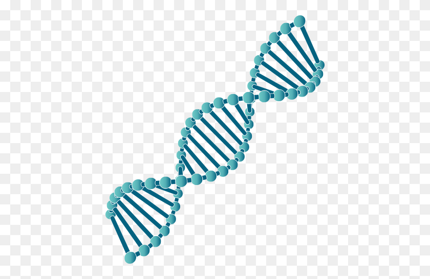 Dna Strand Dna Strand PNG FlyClipart