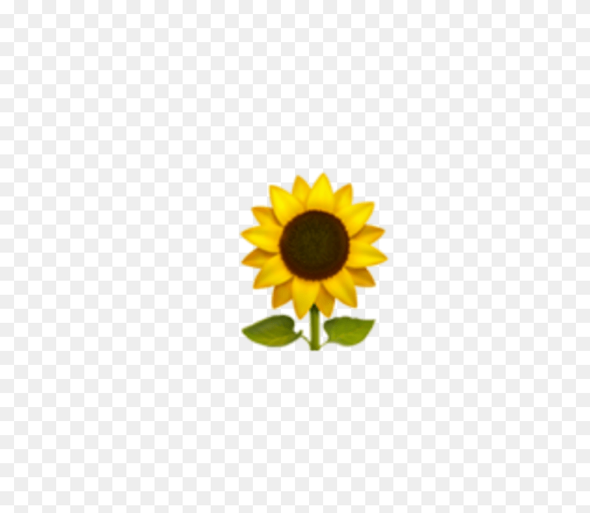 Emoji, Emoticon, Face, Flower, Nature, Smiley, Sunflower Icon