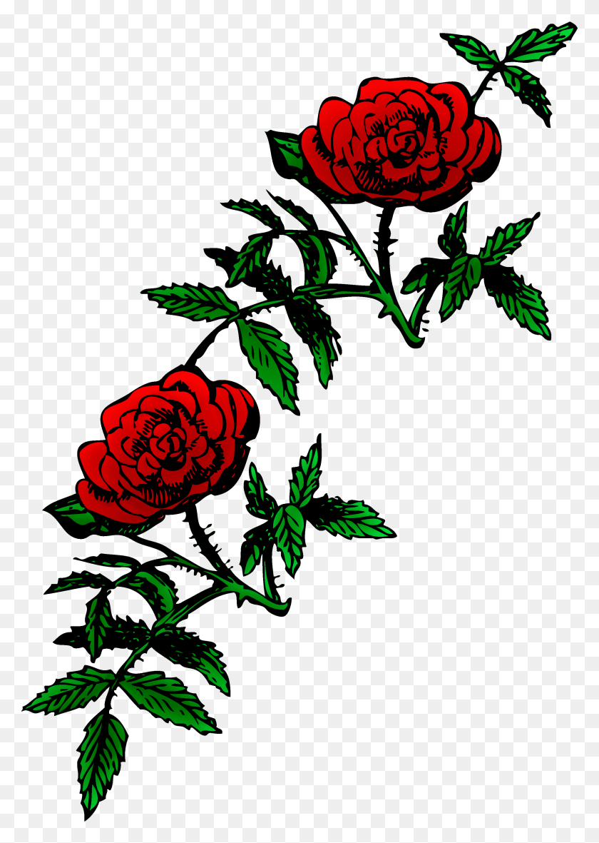 Rose Clipart Rose Tree Rose Bush Clipart FlyClipart