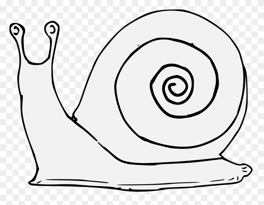 Snail Snail Clipart Black And White FlyClipart