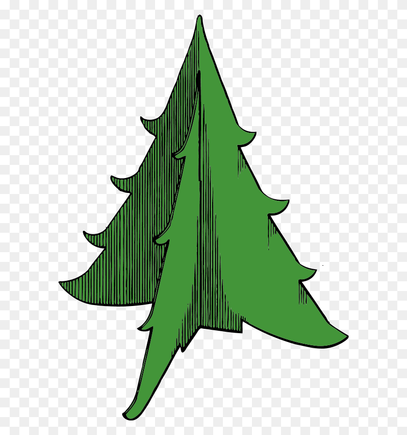 Christmas Tree, Leaf, Plant, Tree HD PNG Download Stunning free