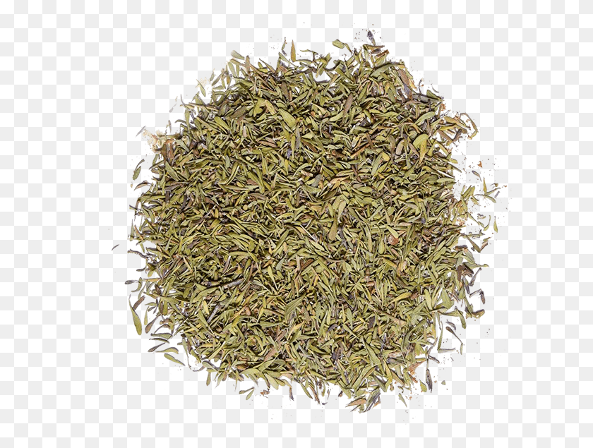 Thyme, Plant, Pineapple, Fruit HD PNG Download FlyClipart