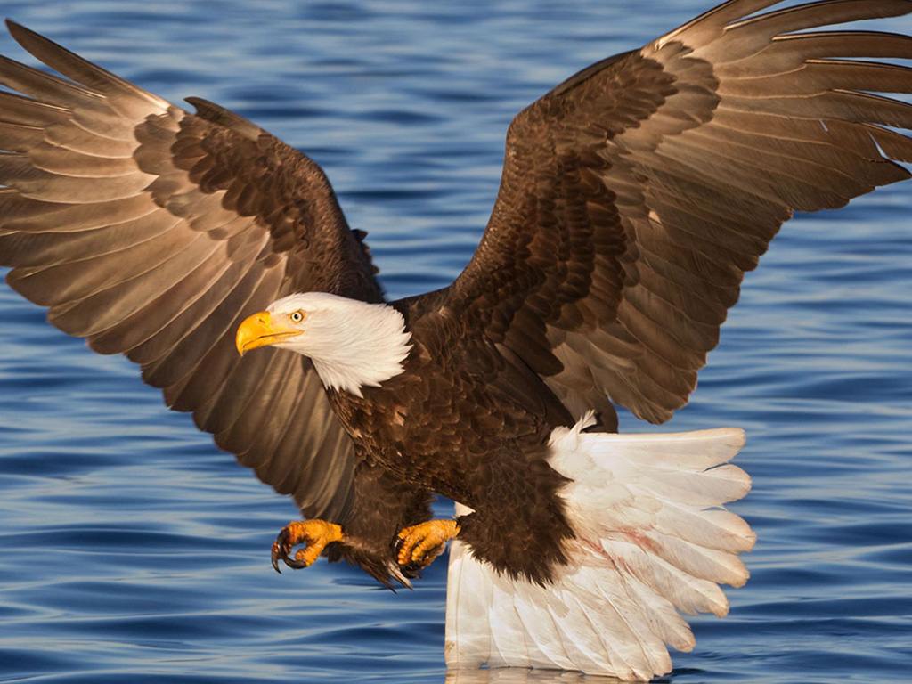 Munderi Kadavu Bird Sanctuary flyCNN Discover Malabar A Hidden
