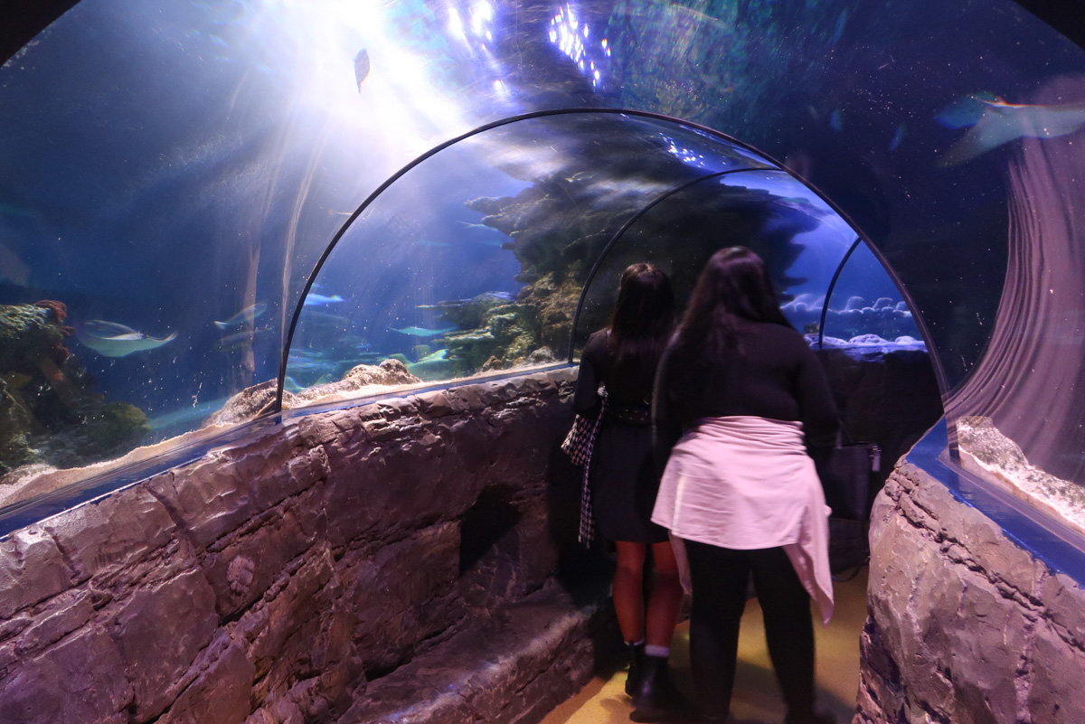SeaLife London Aquarium