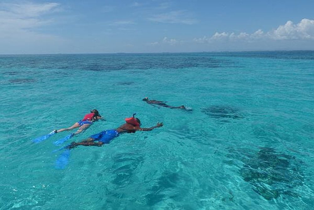 Diving, Snorkeling, and Fishing Tours From Placencia, Belize Flydango