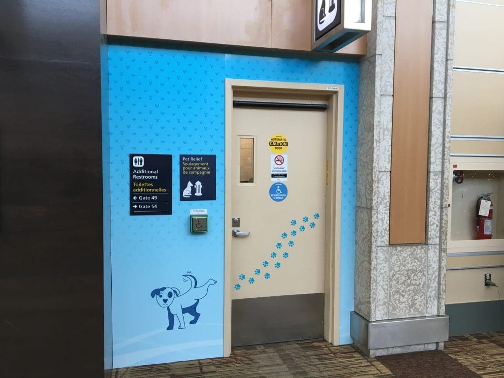 Travelling with pets Edmonton International Airport