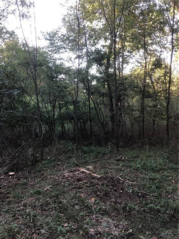 18360 Lake Sequoyah Rd, Fayetteville, AR 72701 Flyer Homes