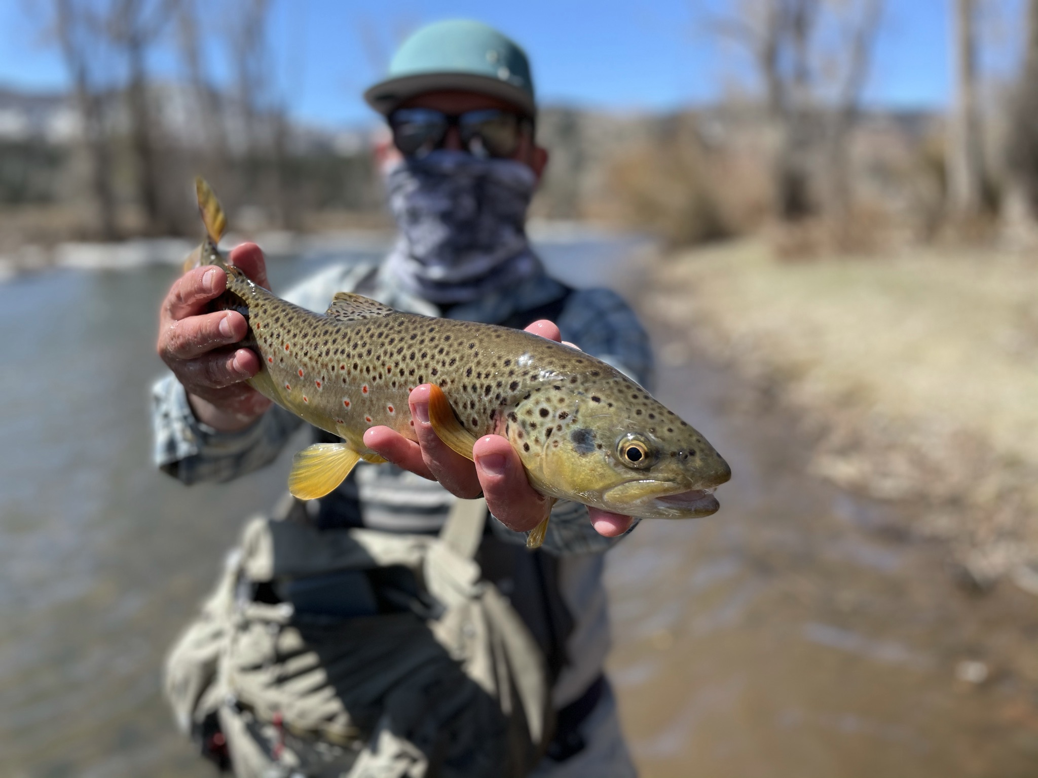 Conejos; Superfly; Alamosa; Antonito, Flyfish; Competition