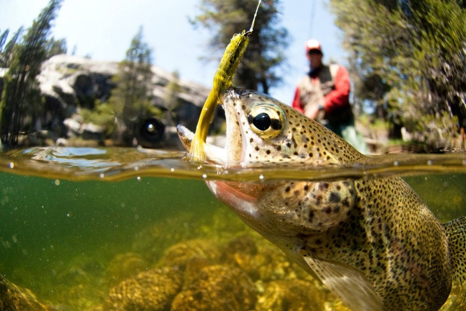 8 Best Places for Fly Fishing in Wisconsin Where to Fish WI