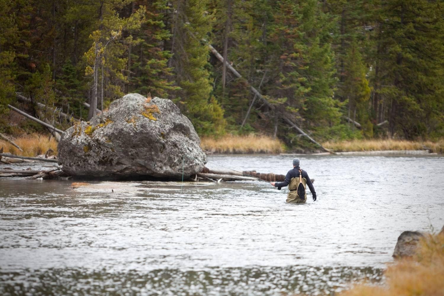 The 2 Best Fly Line for Bass in 2023 Buyers Guide