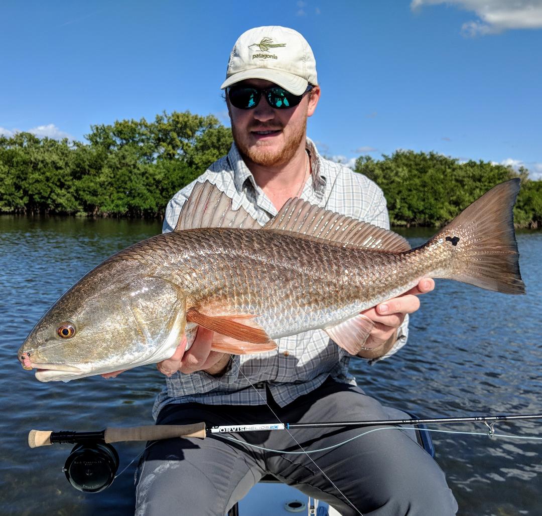 Redfish Crystal River Fly Fishing