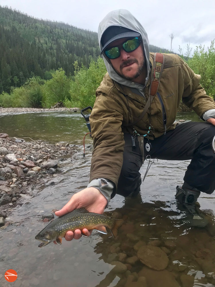 7 Killer Spots To Catch Brook Trout in Colorado Fly Fishing Fix